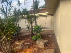 roller shutters elizabeth