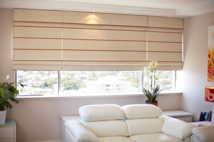 types of window blinds
